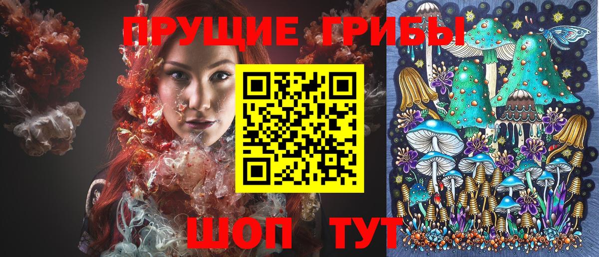 Псилоцибиновые грибы Cubensis Бузулук