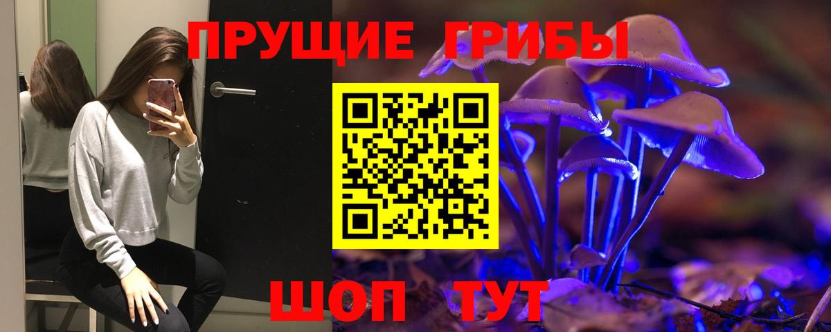 Галлюциногенные грибы прущие грибы  Вход с VPN  наркошоп  Бузулук 